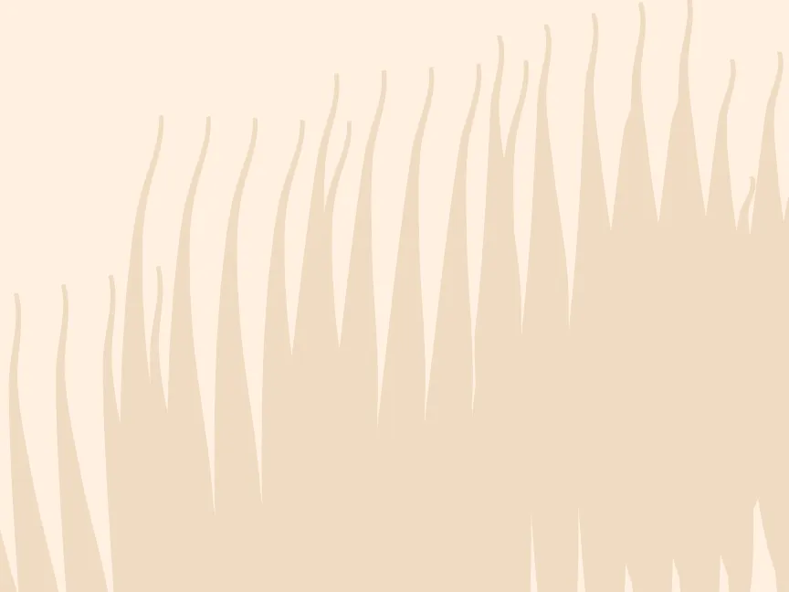 Profile - Default - D'broej